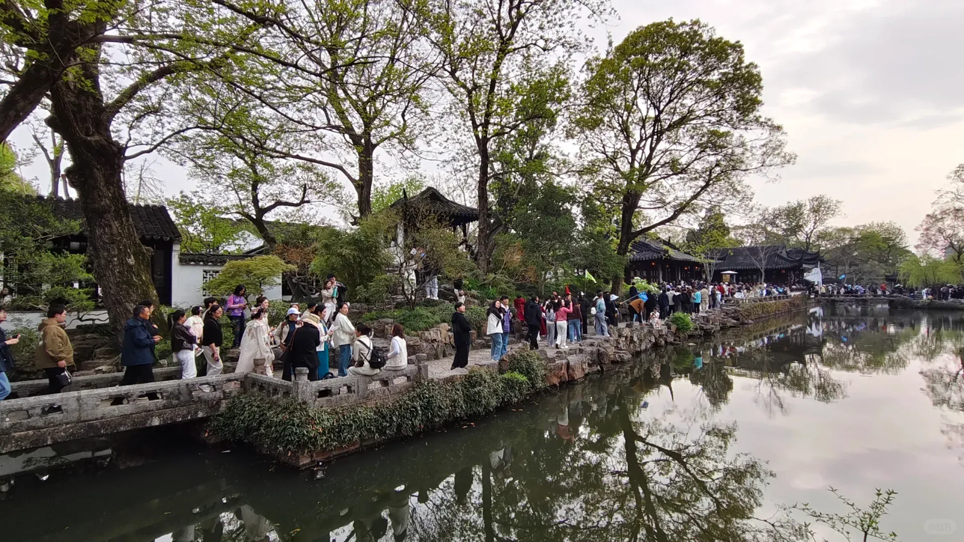 My Qingming Suzhou Post-Mortem 6