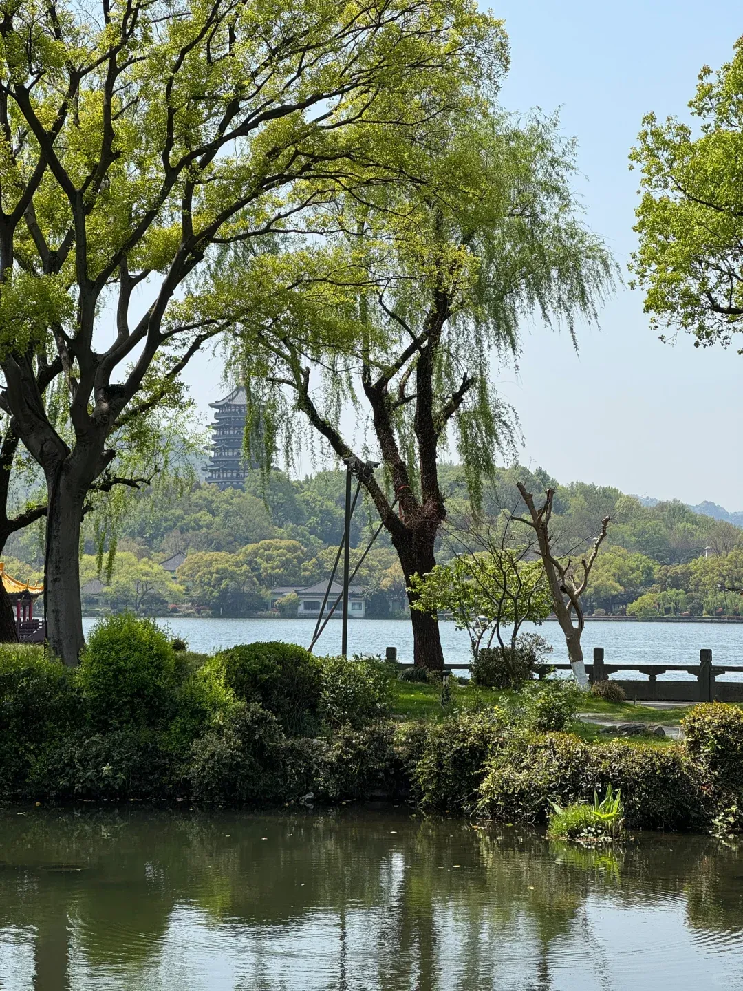 Field Notes: West Lake's Oriole in the Willows Hotel 2