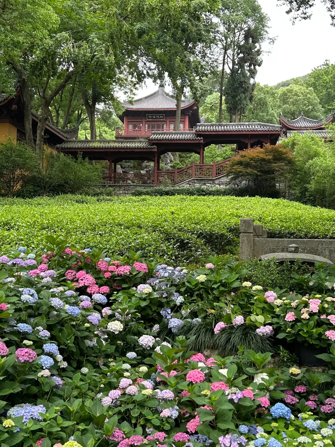 My Hangzhou Travel Grab Bag 11