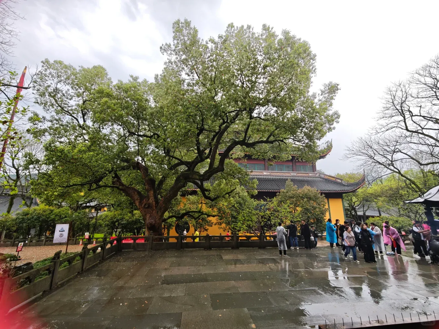 Hangzhou with the 'Rents (Late March): My Trip Debrief - The Real Scoop (Pt. 3) 3