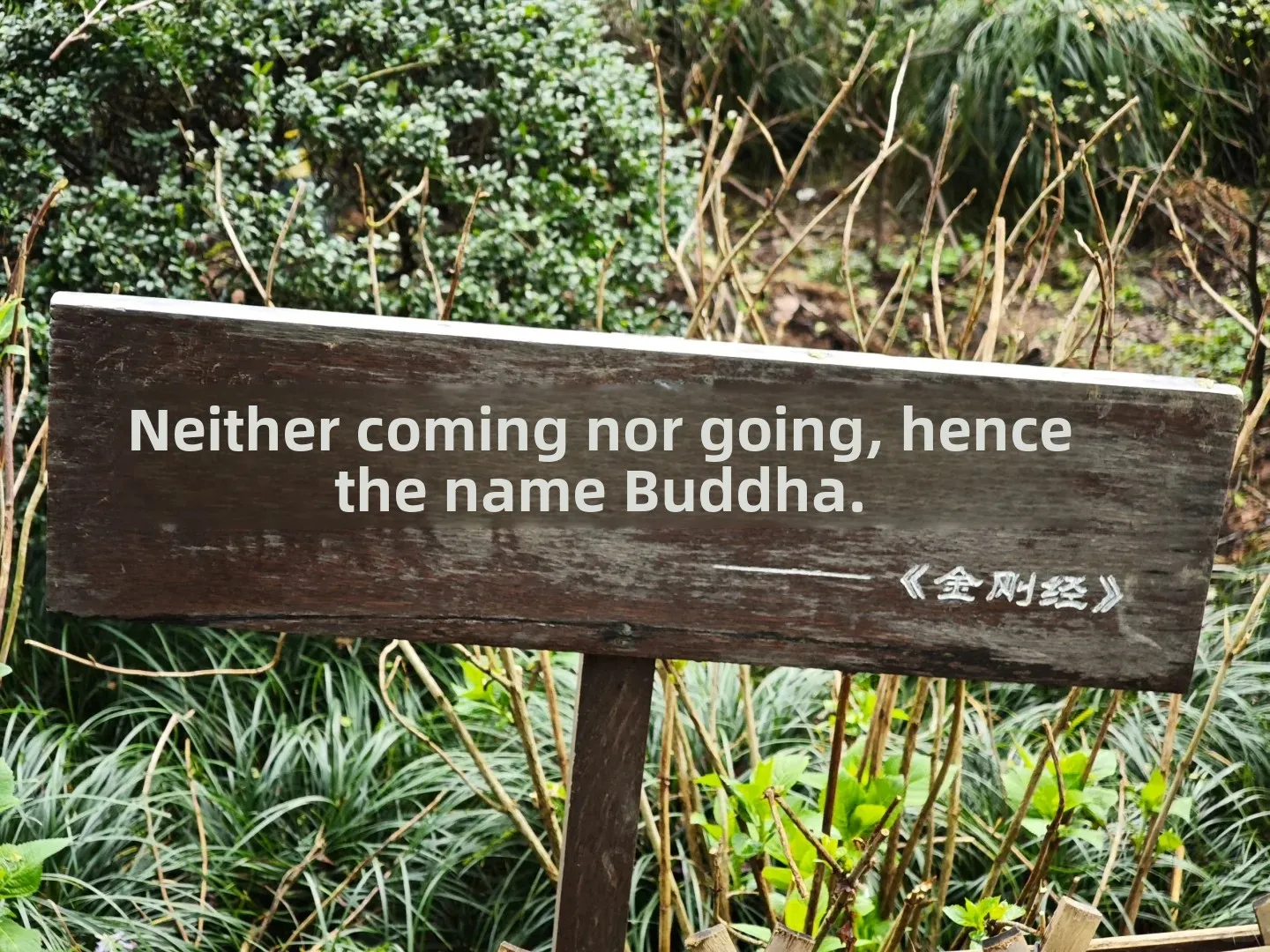 Hangzhou with the 'Rents (Late March): My Trip Debrief - The Real Scoop (Pt. 3) 9