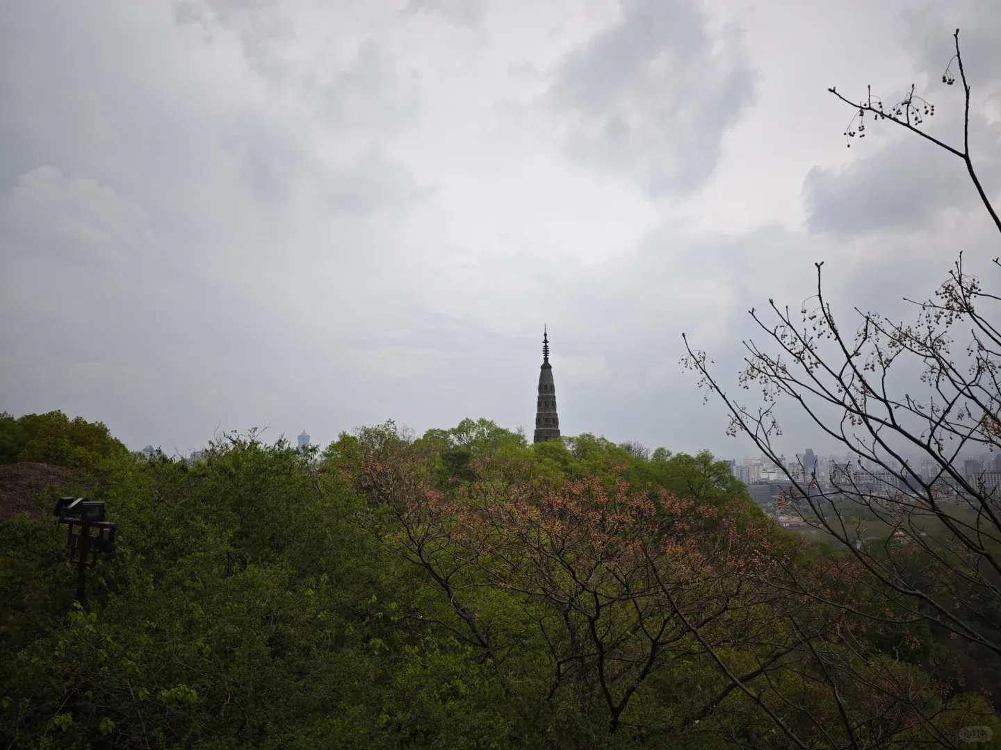 Hangzhou with the 'Rents (Late March): My Trip Debrief - The Real Scoop (Pt. 3) 11