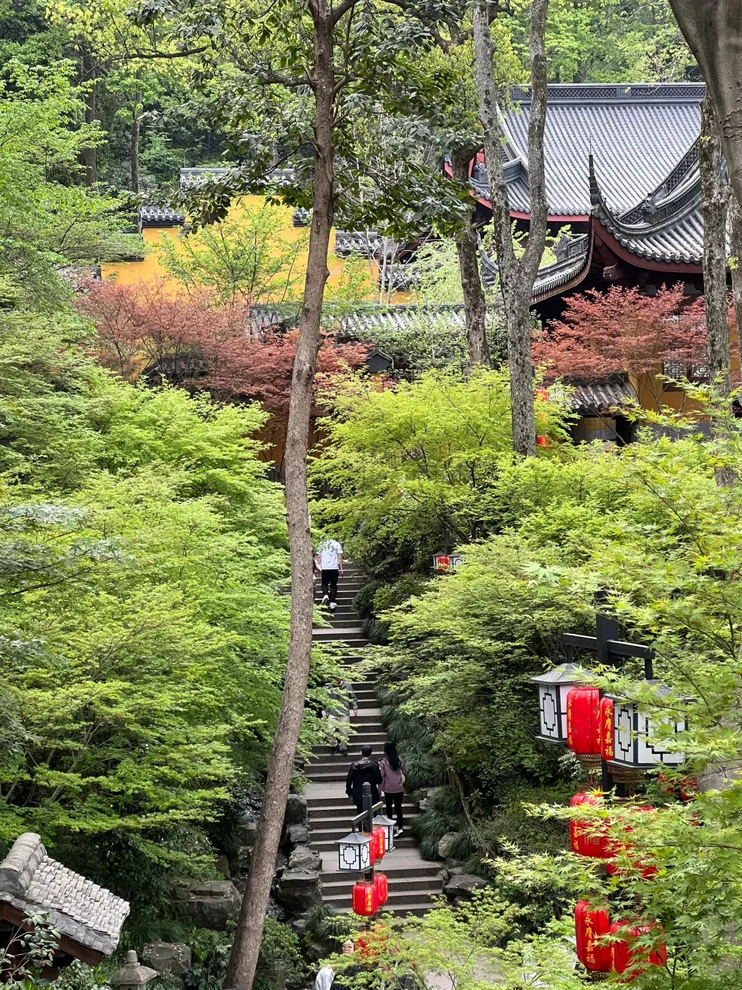 Call Me Crazy, But Hangzhou Totally Outshines Kyoto. 2