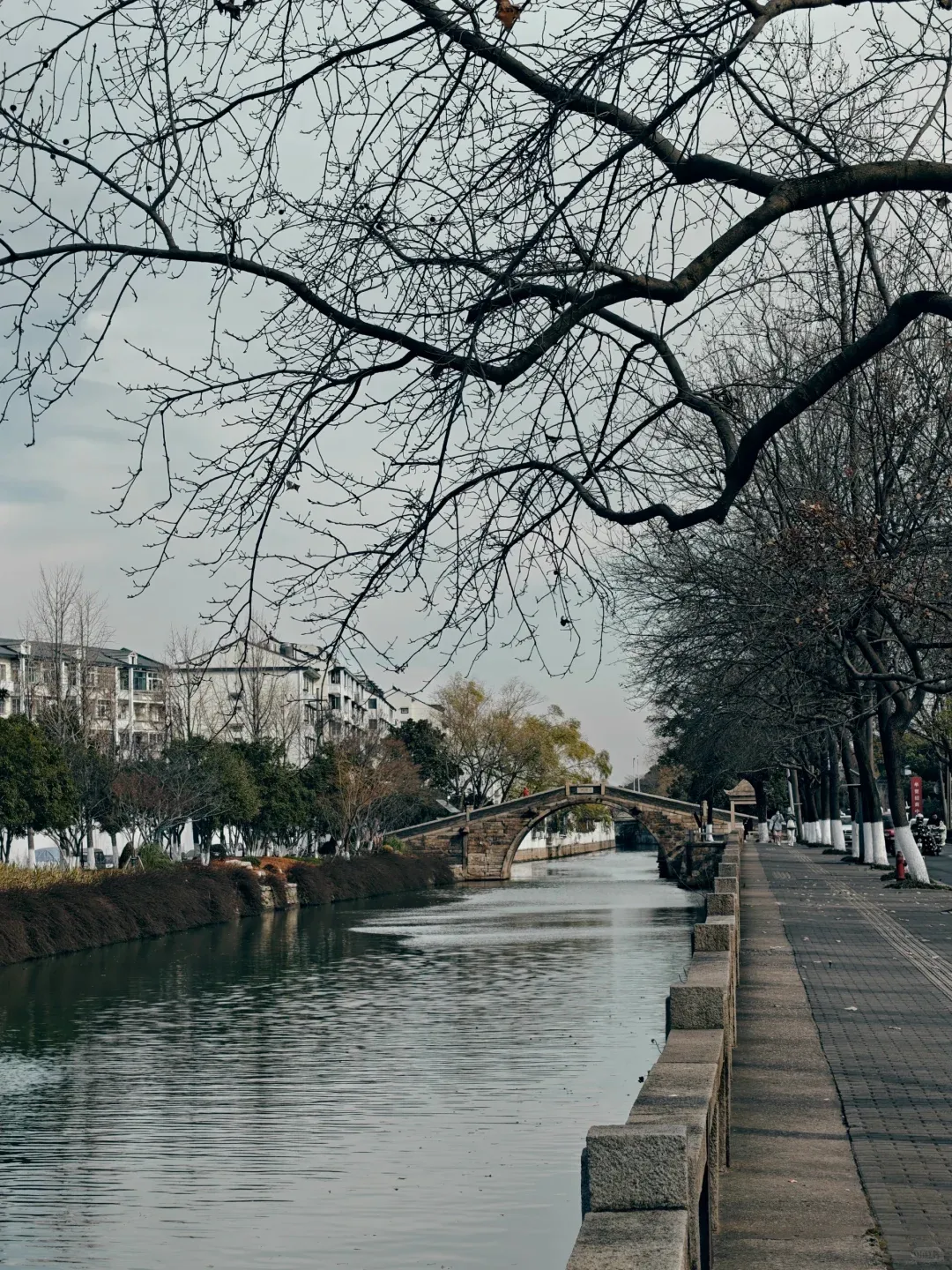 Suzhou's So Pretty, But Honestly? The Commercial Overload Was a Total Letdown 💔 1