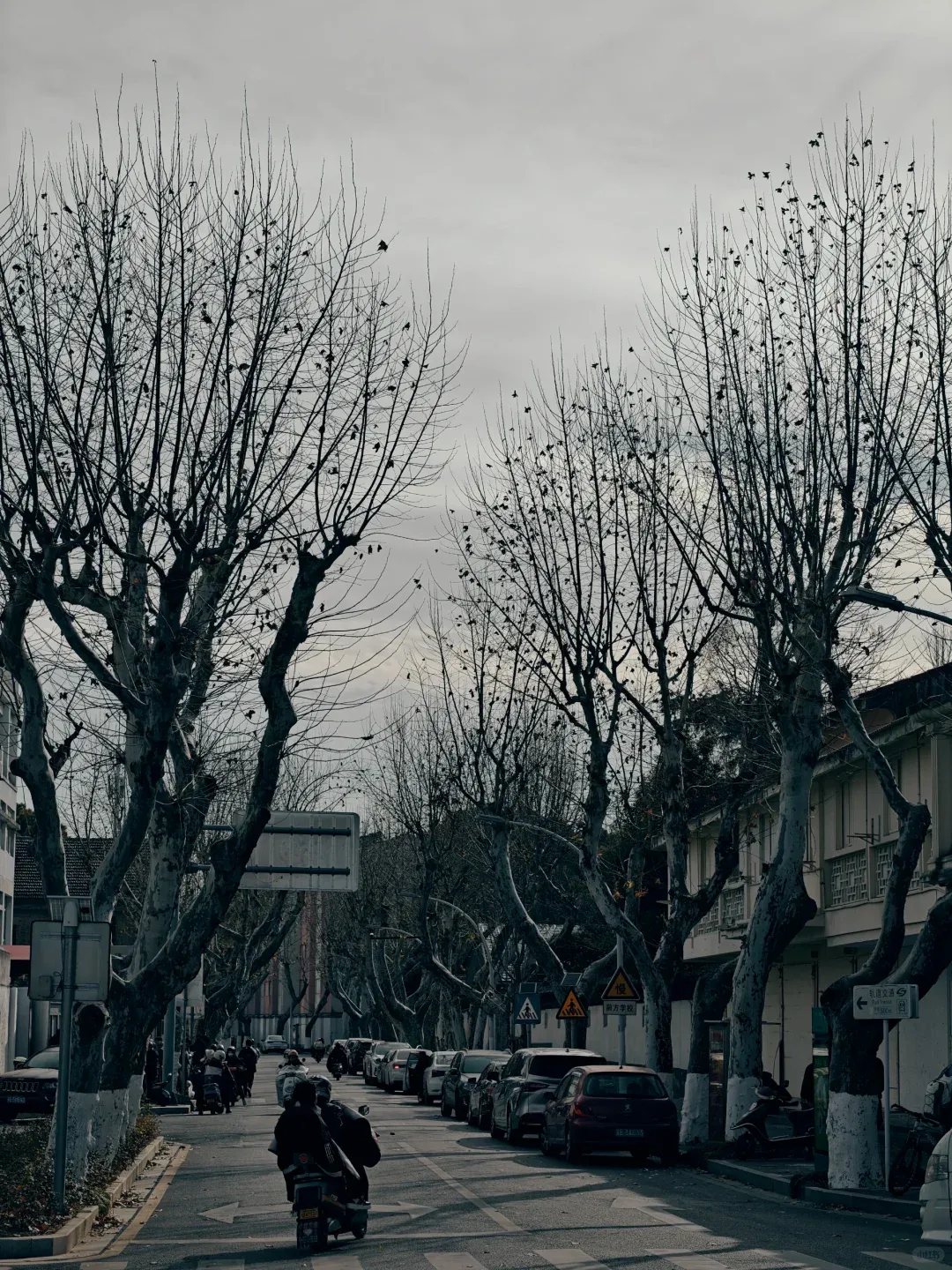 Suzhou's So Pretty, But Honestly? The Commercial Overload Was a Total Letdown 💔 4