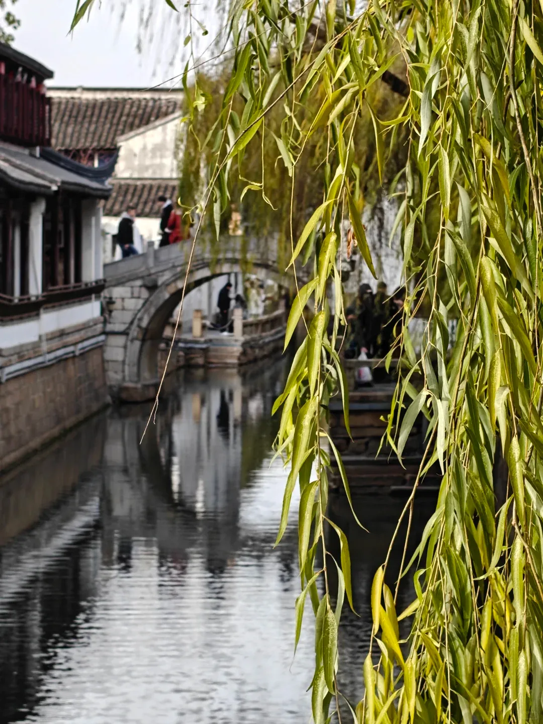 Suzhou's So Pretty, But Honestly? The Commercial Overload Was a Total Letdown 💔 7