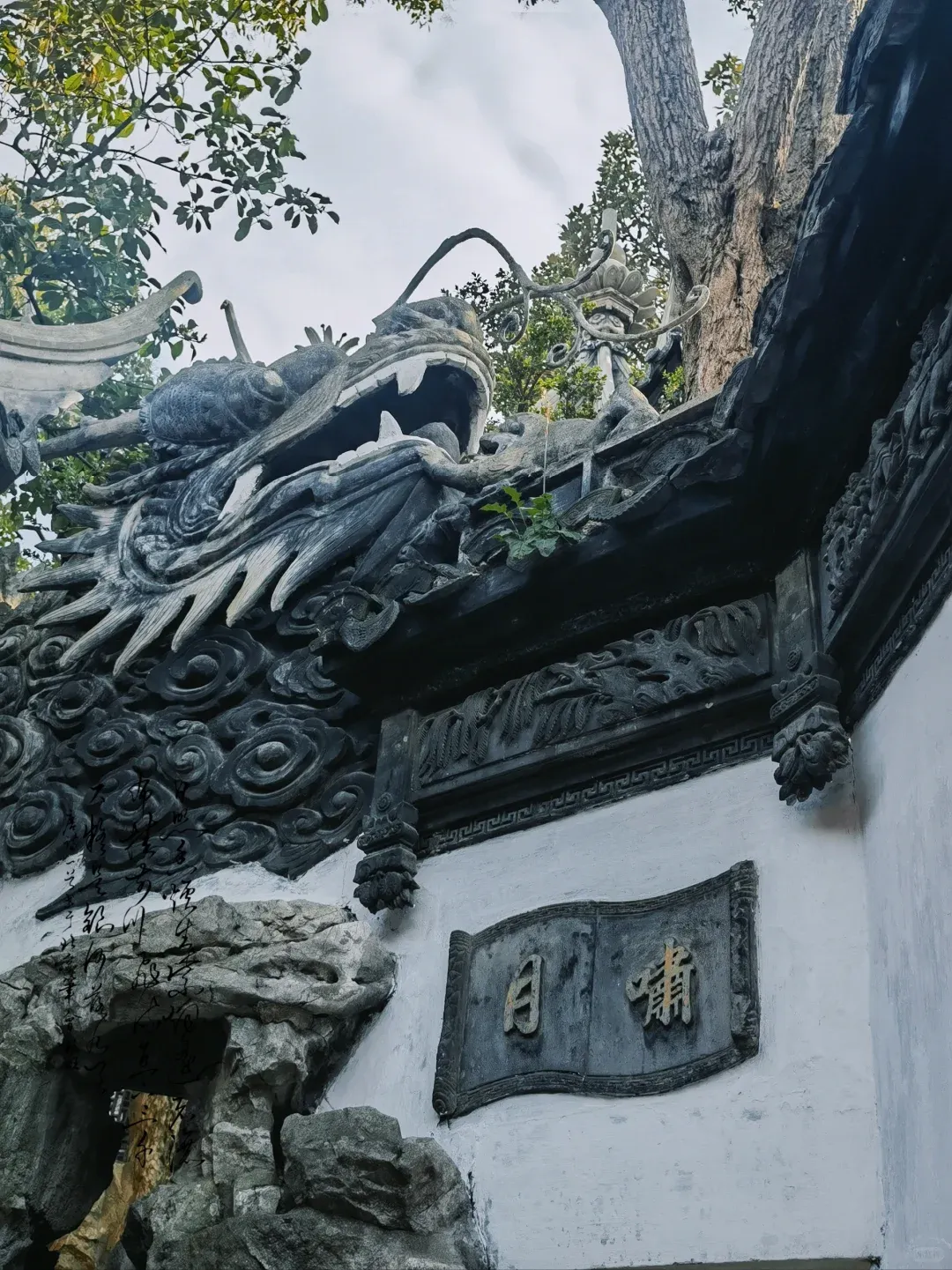 Shanghai: More 'Mannequin' Than 'Metropolis'? 8