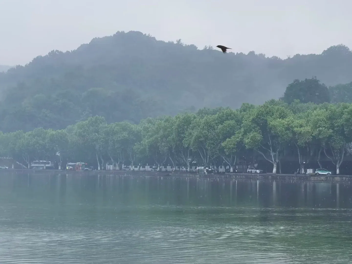 Hangzhou in 2 Days: A Whirlwind Tour 2
