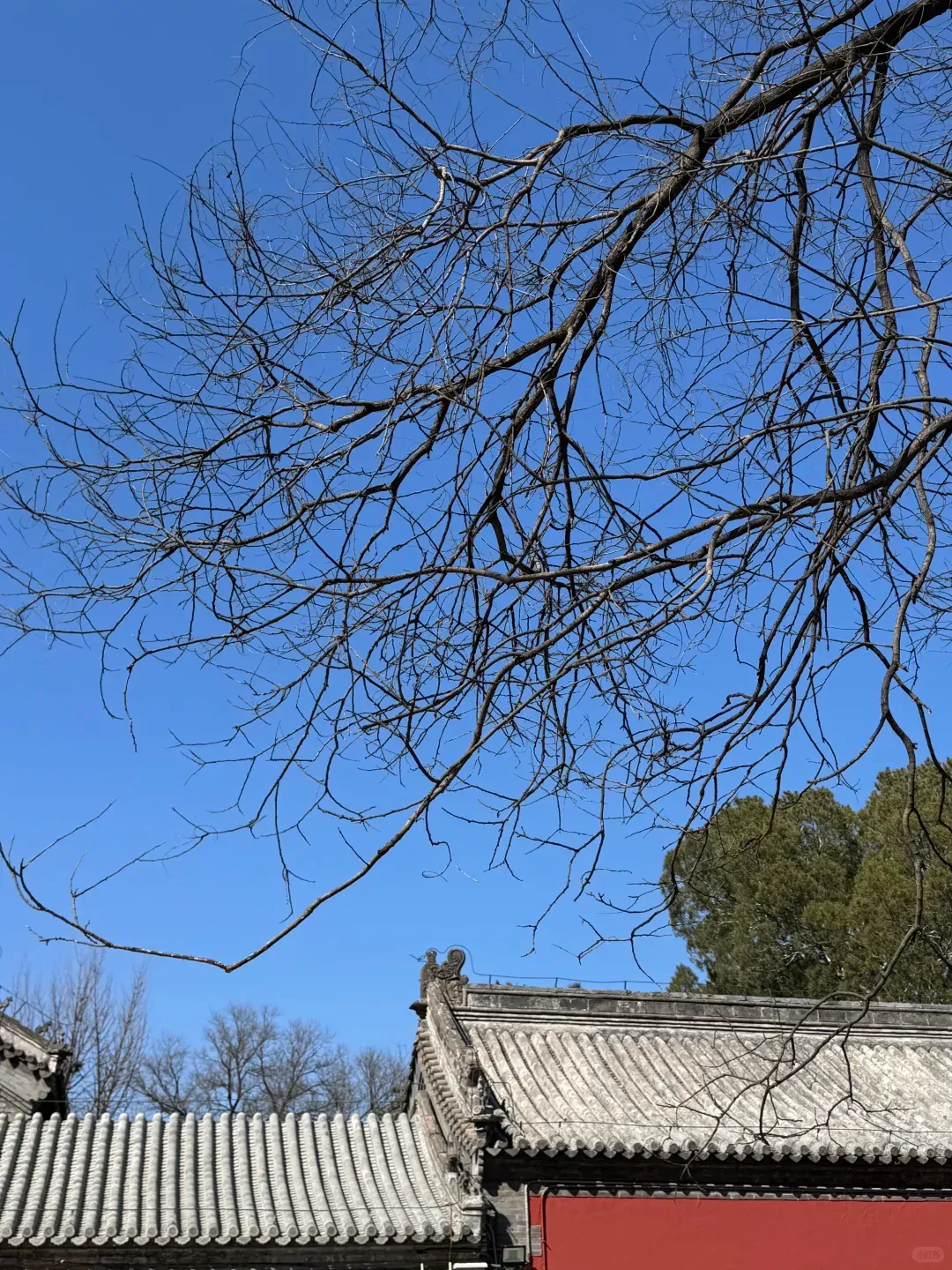 Beijing: My 10,001st Reason to Say 'Nope!' 1
