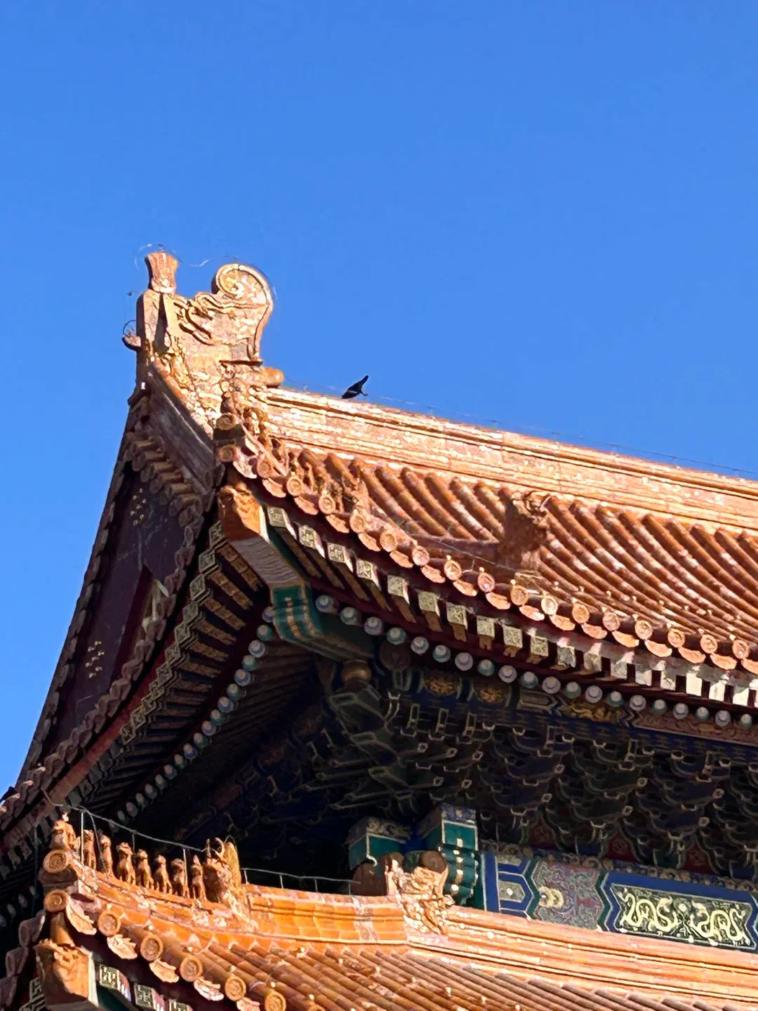 My Hot Tip for a Bad Mood: You NEED Beijing. 3