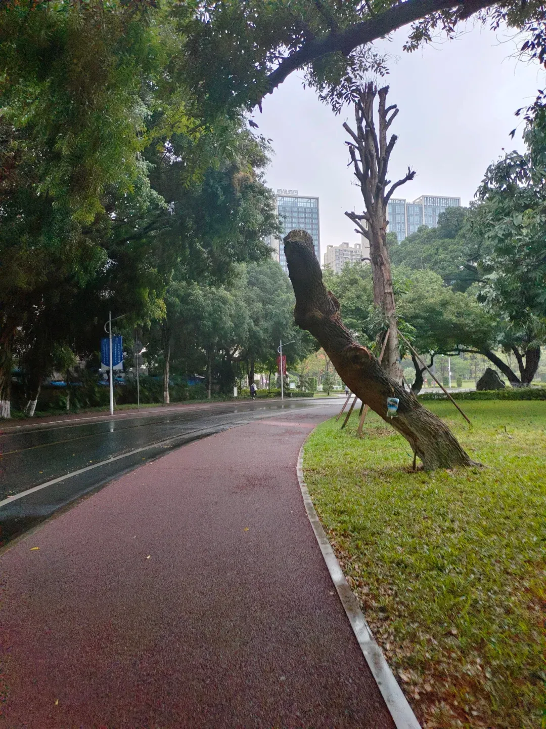Guangzhou, Can You Hit Pause on the Rain, Please? 2