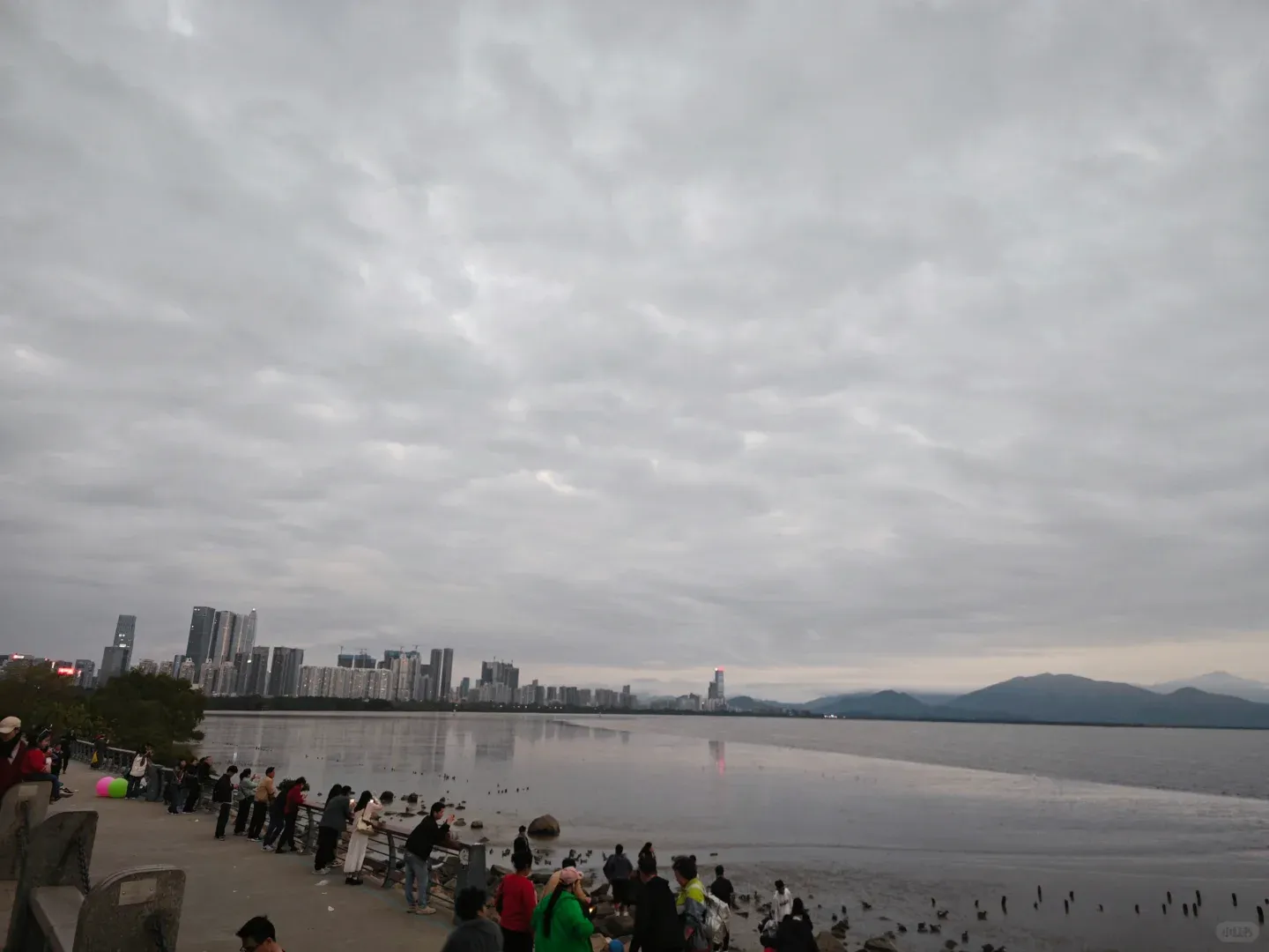 Shenzhen: My Two Cents (Spoiler: It's... Something) 4